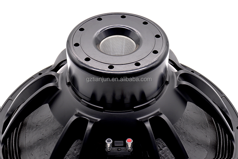 21'' Professional Audio System - đánh giá và giá Speakers